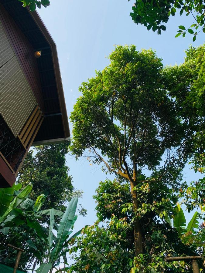 Wayanad Doubletree Villa Vythiri Exterior foto